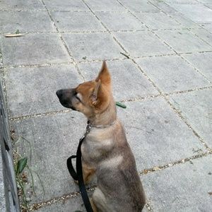 Meet your Posher, Ray